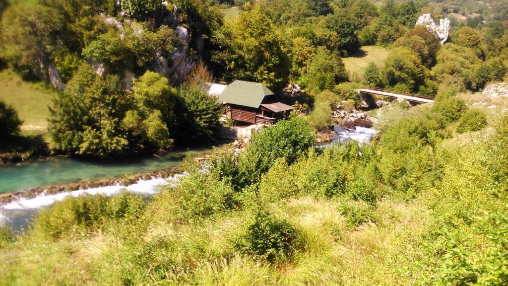 Donji Vrbljani Ribnik
